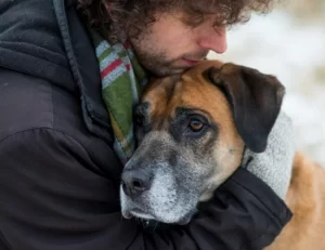 O que significa "a dor do cliente" e como implantar em sua estratégia de vendas