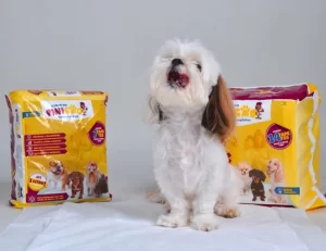 6 inovações dos tapetes higiênicos Pinicão que transformam a rotina com seu pet