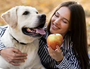 Frutas seguras para cães