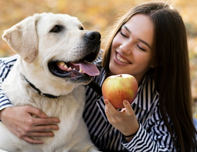 Frutas seguras para cães