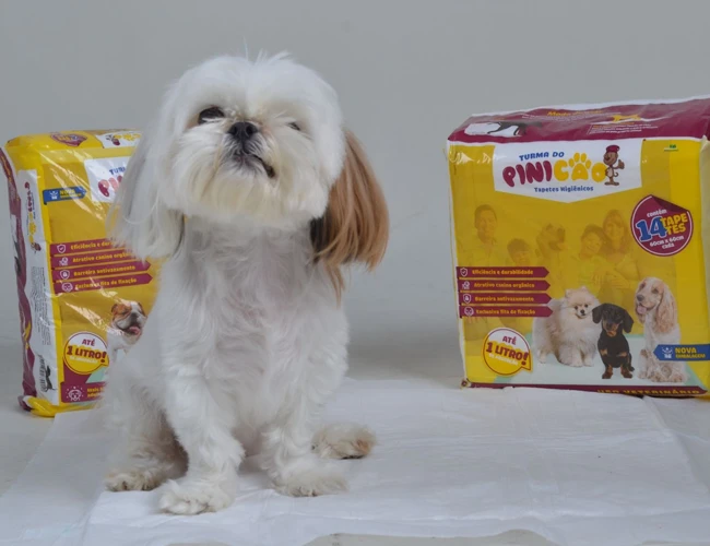 Tapetes higiênicos brancos podem salvar a vida do seu pet!